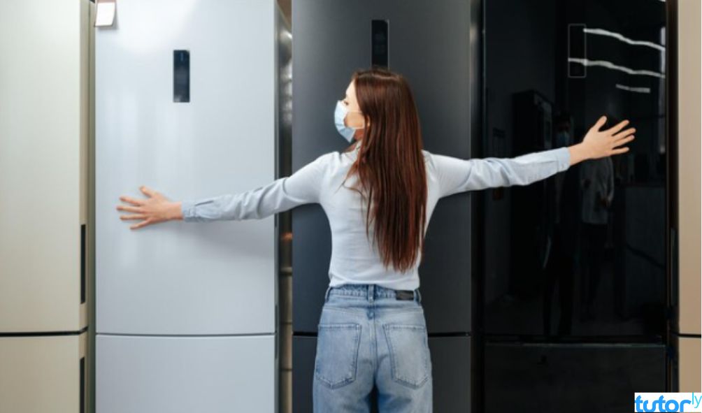 Rekomendasi Kulkas 2 Pintu Tanpa Bunga Es