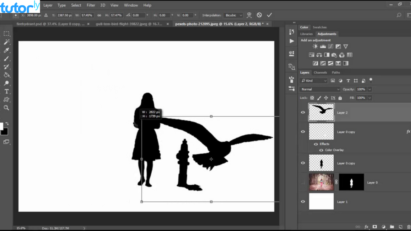 cara membuat siluet di Photoshop