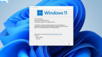 cara cek versi Windows 11