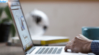 Situs Download Aplikasi PC Gratis