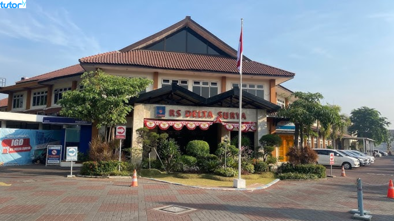 cara daftar online RS Delta Surya Sidoarjo